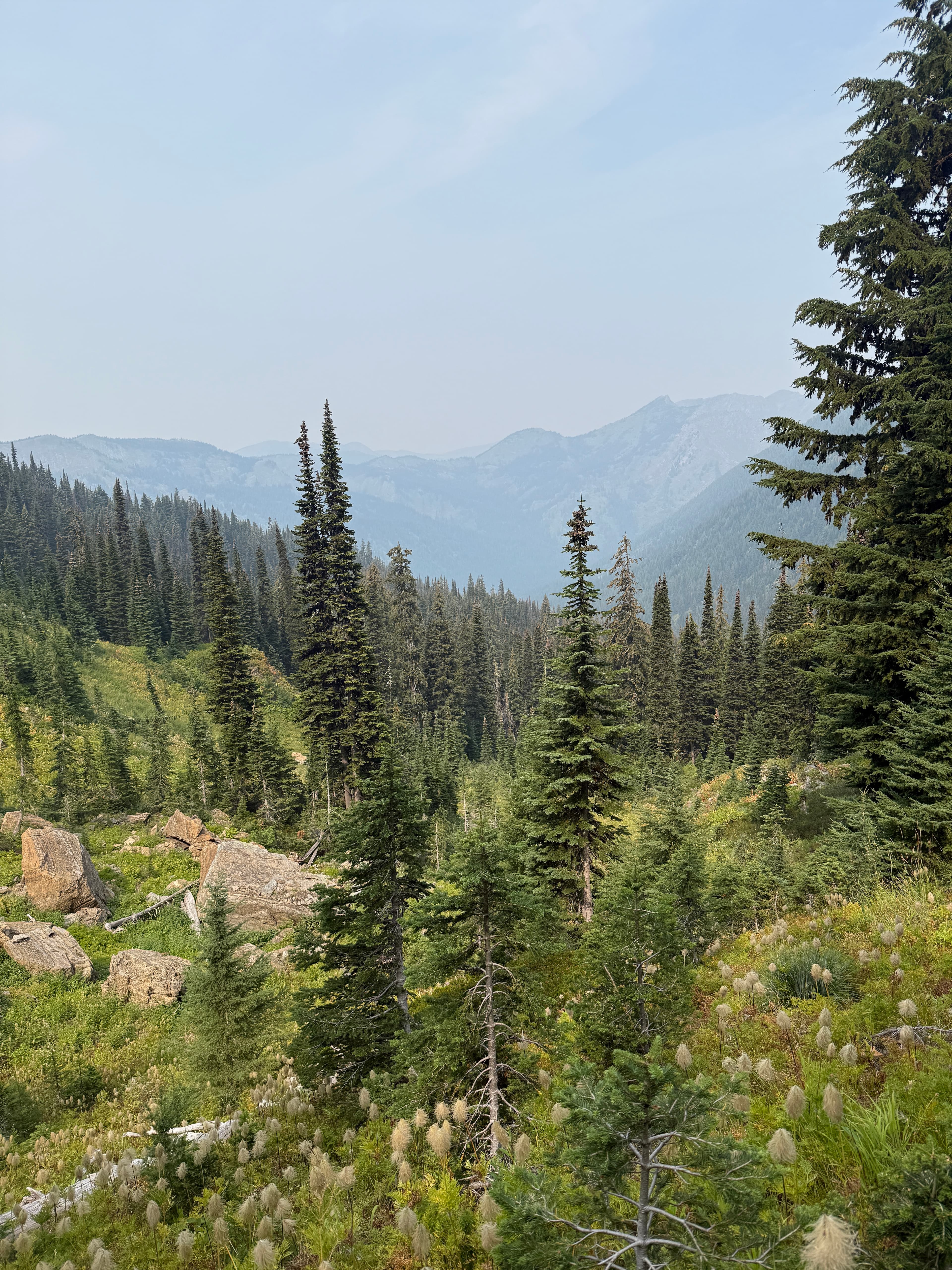 A Montana wilderness landscape, climbing toward sunlit peaks